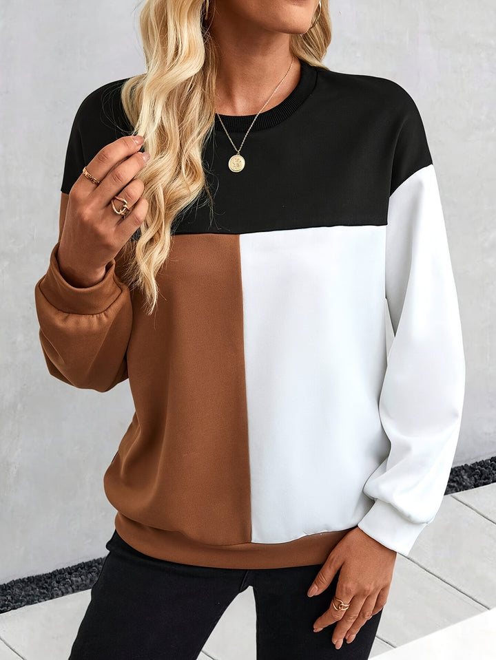 Color Block Crew Neck Sweatshirt