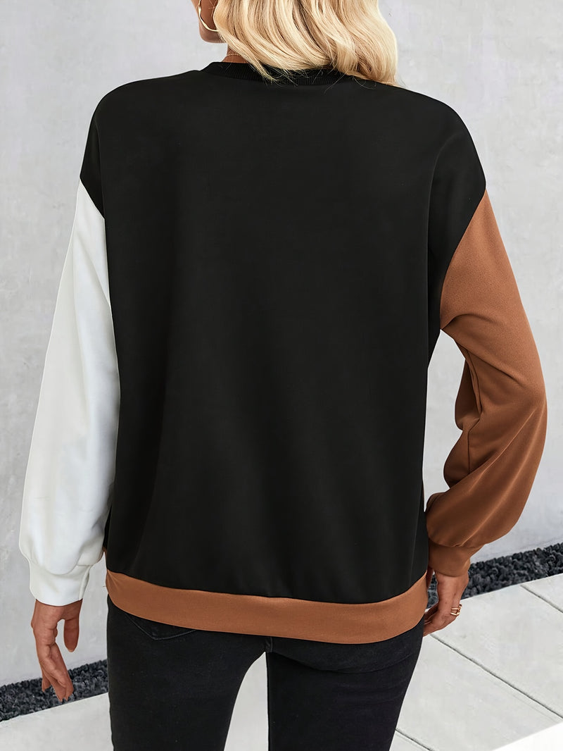 Color Block Crew Neck Sweatshirt