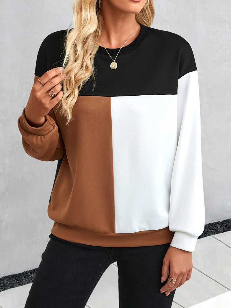 Color Block Crew Neck Sweatshirt