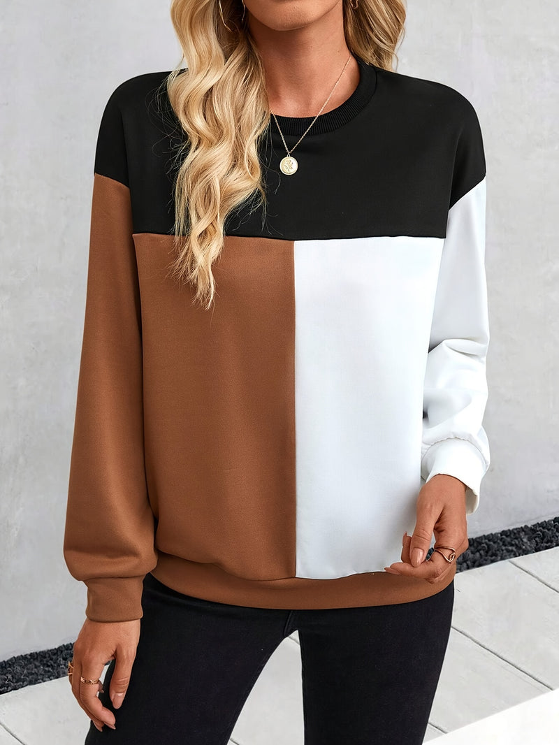 Color Block Crew Neck Sweatshirt